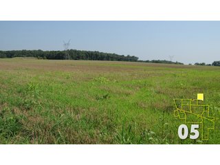 Property photo 15 - Land Auction - 3,379 Acres in 48 Tracts, 2,900 Acres Tillable, Large Contiguous Tracts - Investment Potential